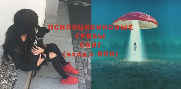 экстази Бронницы