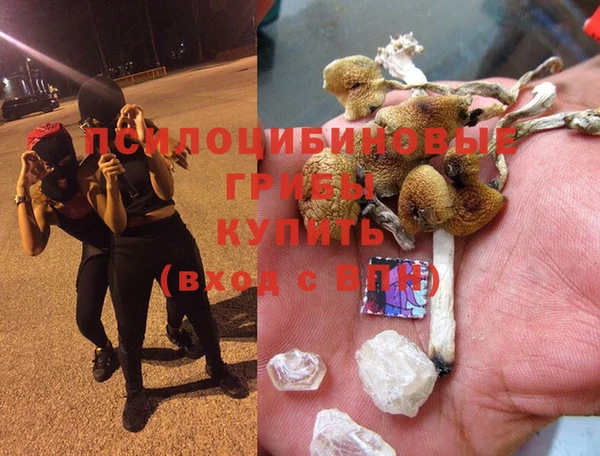 каннабис Бородино