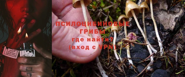 каннабис Бородино